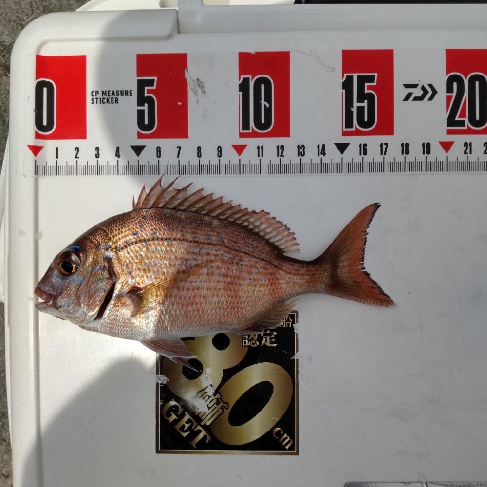 アジュール温泉裏