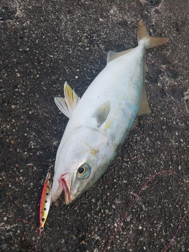 スーパーライトショアジギング