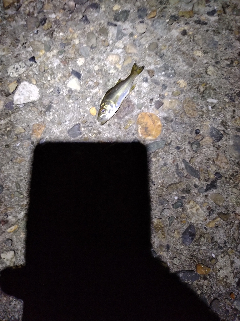 いい感じなのに