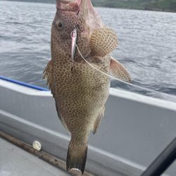 レンタルボートで根魚