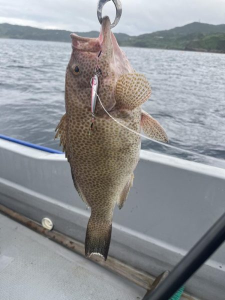 レンタルボートで根魚