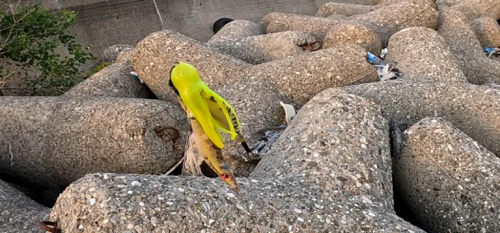 オクトパッシング