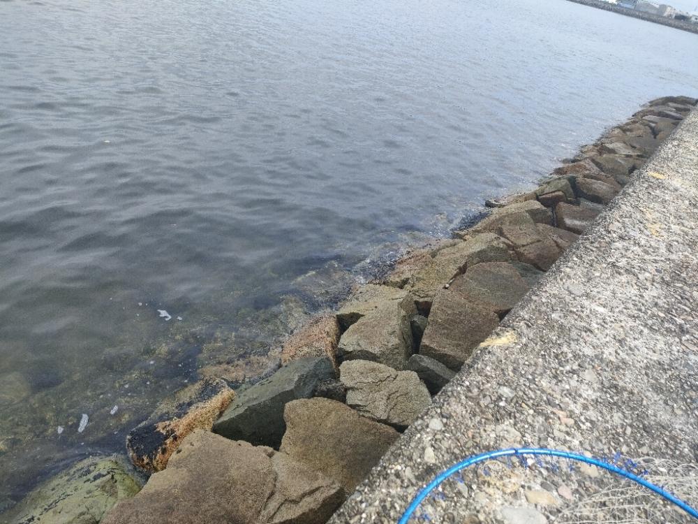 またまた岸和田一文字☆