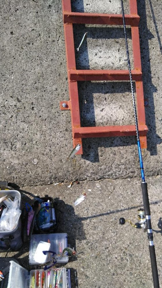 武庫川一文字2連戦