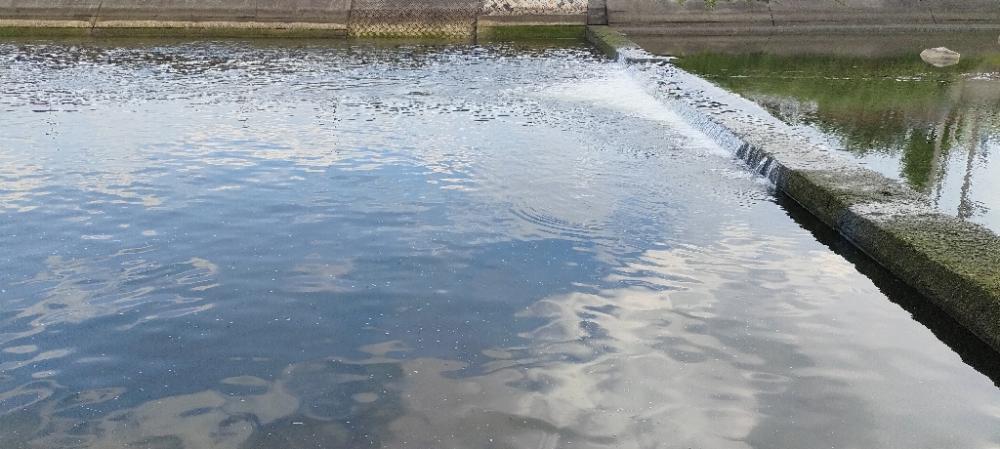 トップチニング