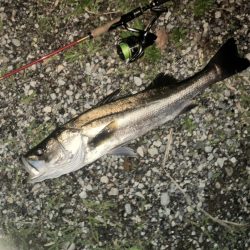 ゴツっときました。