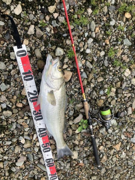 ががっときました。