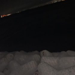 アジ・メバル釣果