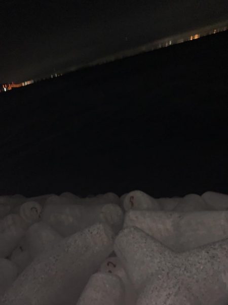 アジ・メバル釣果