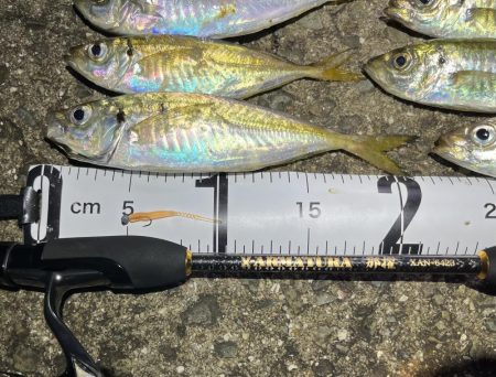 久しぶりアジング