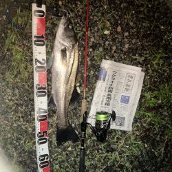 ががっときました。