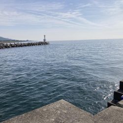 初日キス釣りからのマイクロサバゲー