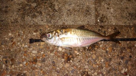 一つ謎が解けた