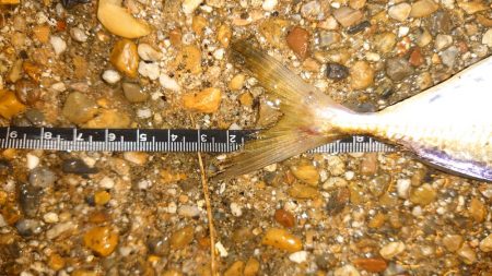 口閉じませんでした。