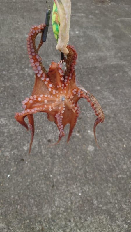 時合の一瞬だけ