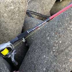 テトラで夕方に