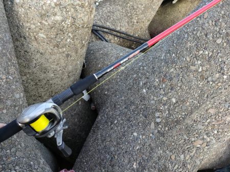 テトラで夕方に