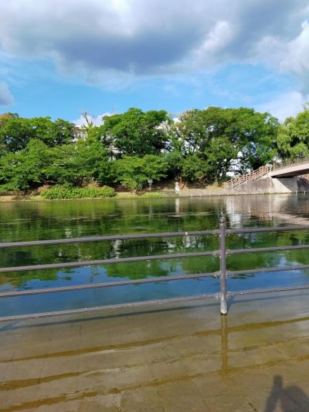 今年は、いまいち?