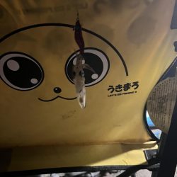 ありがとう！！ヒイカさん