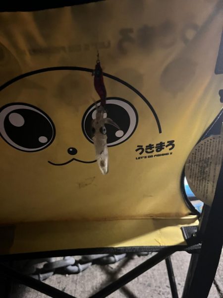 ありがとう！！ヒイカさん