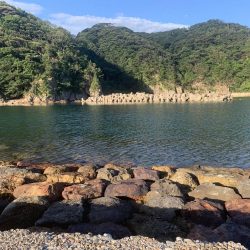 アジフライ不発