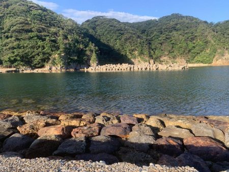 アジフライ不発