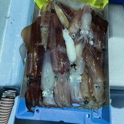 久美浜でイカメタル