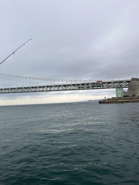 ギリギリハマチ?