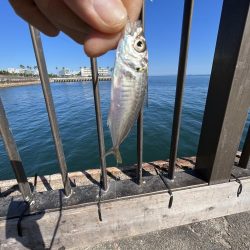 海の日、猛暑の日