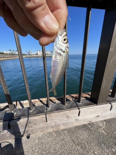 海の日、猛暑の日