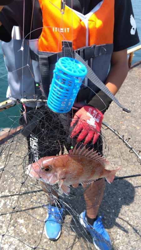 メガフロート釣行