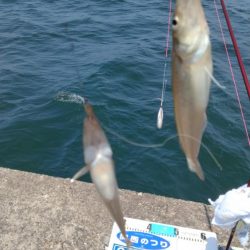 シーズン30回目の播磨新島釣行