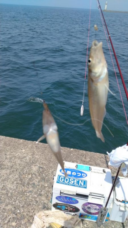 シーズン30回目の播磨新島釣行