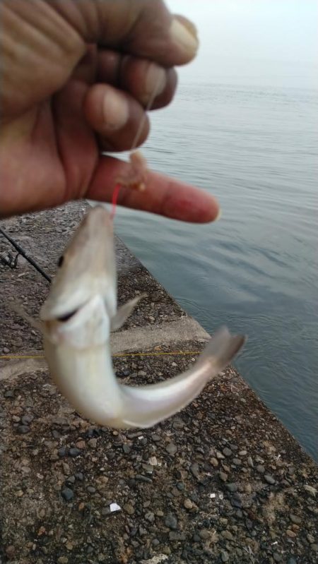 日ムラ激しい播磨新島のキス