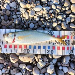 三重和歌山遠征 後半