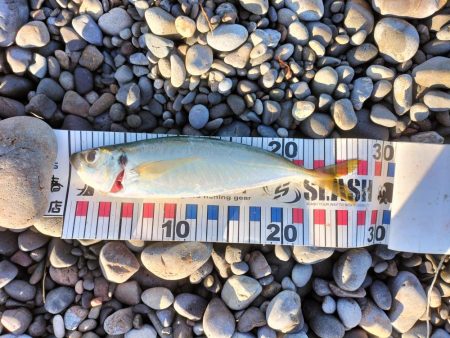 三重和歌山遠征 後半