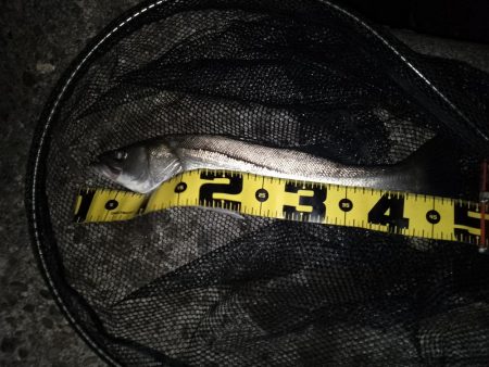 気持ちいい北風