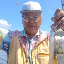 播磨新島のキス情報