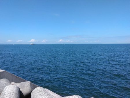 青物・タコ撃沈