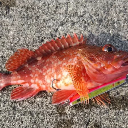 ショアジギング