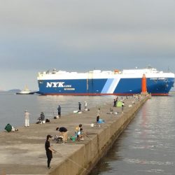 活性下がった播磨新島のキス