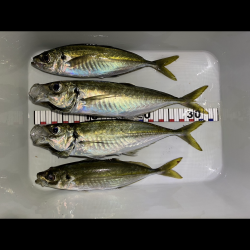 悪コンデション