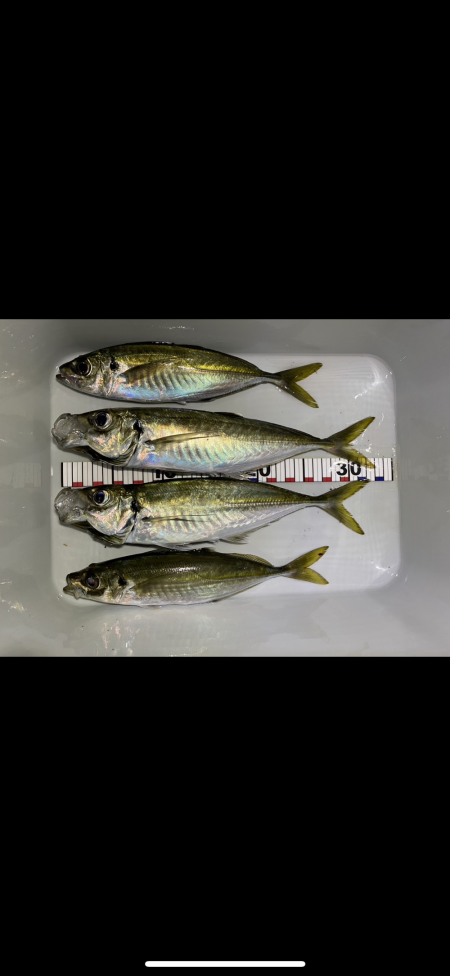 悪コンデション