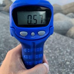 夏イカやっほ＾＾