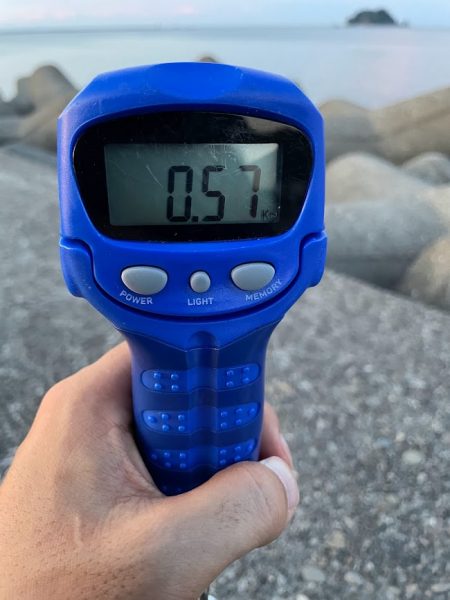 夏イカやっほ＾＾