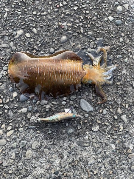 ありがとくしま