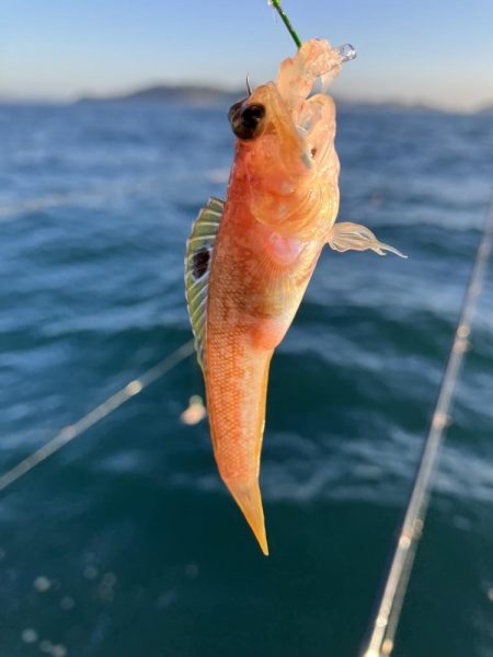 三邦丸さんでアジ釣り