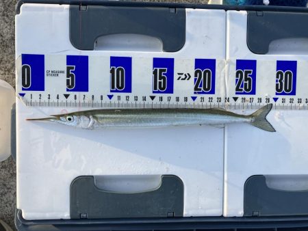 サバサバサバサバサヨリ