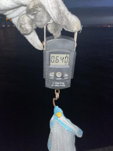 640gとリリースサイズ