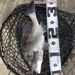 夏の筏釣り
